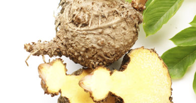 Le Konjac : une grande efficacité pour perdre du poids Le Konjac : une grande efficacité pour perdre du poids
